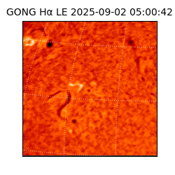 gong - 2025-09-02T05:00:42