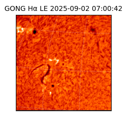 gong - 2025-09-02T07:00:42