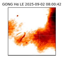 gong - 2025-09-02T08:00:42