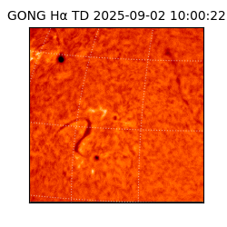 gong - 2025-09-02T10:00:22