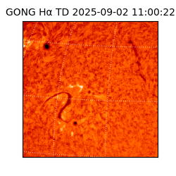 gong - 2025-09-02T11:00:22