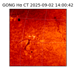 gong - 2025-09-02T14:00:42