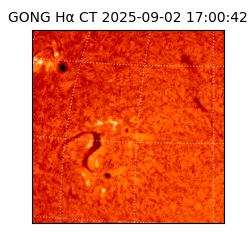 gong - 2025-09-02T17:00:42