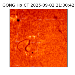 gong - 2025-09-02T21:00:42