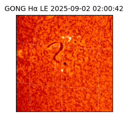 gong - 2025-09-02T02:00:42