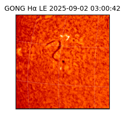 gong - 2025-09-02T03:00:42