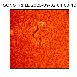 gong - 2025-09-02T04:00:42