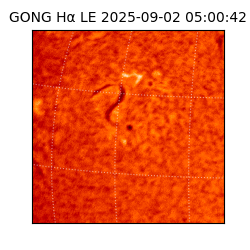 gong - 2025-09-02T05:00:42