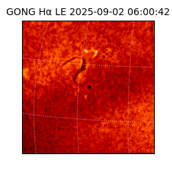 gong - 2025-09-02T06:00:42