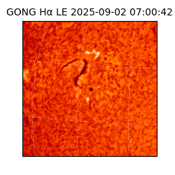 gong - 2025-09-02T07:00:42