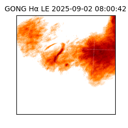 gong - 2025-09-02T08:00:42