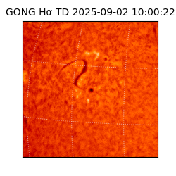 gong - 2025-09-02T10:00:22