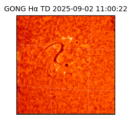 gong - 2025-09-02T11:00:22