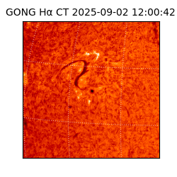 gong - 2025-09-02T12:00:42