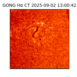 gong - 2025-09-02T13:00:42