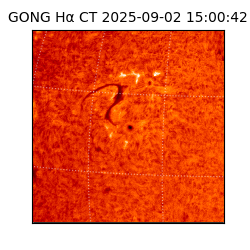 gong - 2025-09-02T15:00:42