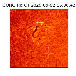 gong - 2025-09-02T16:00:42