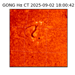 gong - 2025-09-02T18:00:42