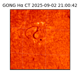 gong - 2025-09-02T21:00:42
