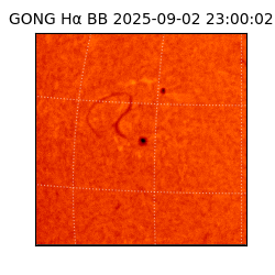 gong - 2025-09-02T23:00:02