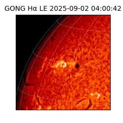 gong - 2025-09-02T04:00:42