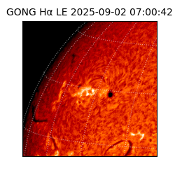 gong - 2025-09-02T07:00:42