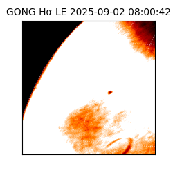 gong - 2025-09-02T08:00:42