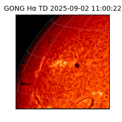 gong - 2025-09-02T11:00:22