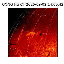 gong - 2025-09-02T14:00:42