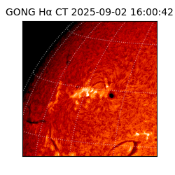 gong - 2025-09-02T16:00:42