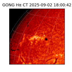gong - 2025-09-02T18:00:42