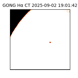 gong - 2025-09-02T19:01:42