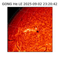 gong - 2025-09-02T23:20:42
