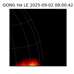 gong - 2025-09-02T08:00:42
