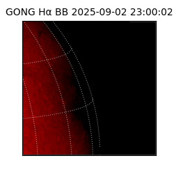 gong - 2025-09-02T23:00:02