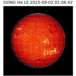 gong - 2025-09-02T01:06:42