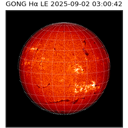 gong - 2025-09-02T03:00:42