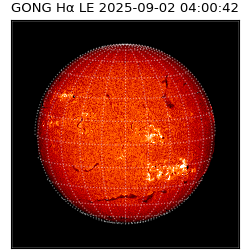 gong - 2025-09-02T04:00:42