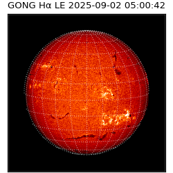 gong - 2025-09-02T05:00:42