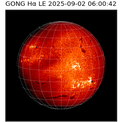 gong - 2025-09-02T06:00:42