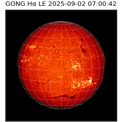 gong - 2025-09-02T07:00:42