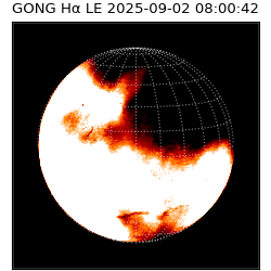 gong - 2025-09-02T08:00:42