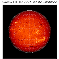 gong - 2025-09-02T10:00:22