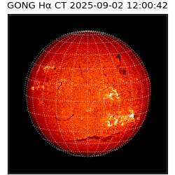 gong - 2025-09-02T12:00:42