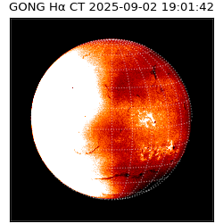 gong - 2025-09-02T19:01:42