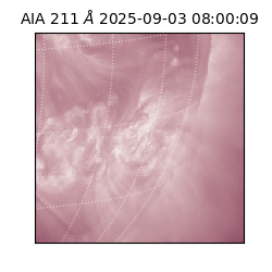 saia - 2025-09-03T08:00:09.630000