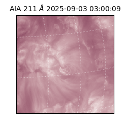 saia - 2025-09-03T03:00:09.626000