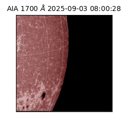 saia - 2025-09-03T08:00:28.718000