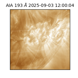 saia - 2025-09-03T12:00:04.843000