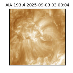 saia - 2025-09-03T03:00:04.843000
